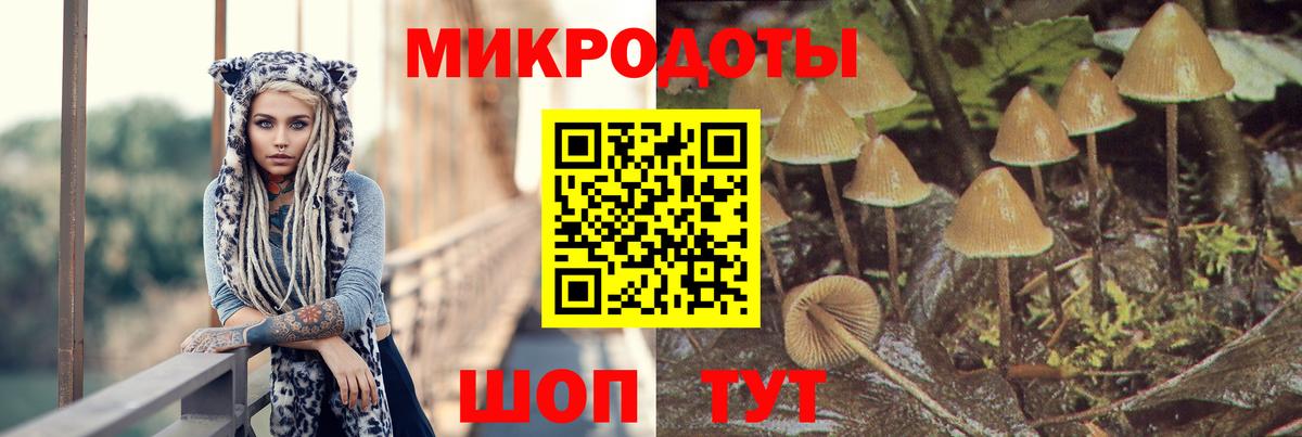 Псилоцибиновые грибы Magic Shrooms  Вход с VPN  Чебаркуль  Псилоцибиновые грибы Psilocybe 